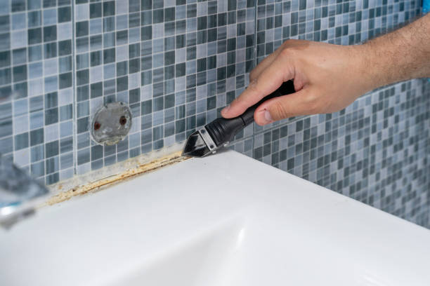 Best Residential Mold Removal  in Holden Heights, FL